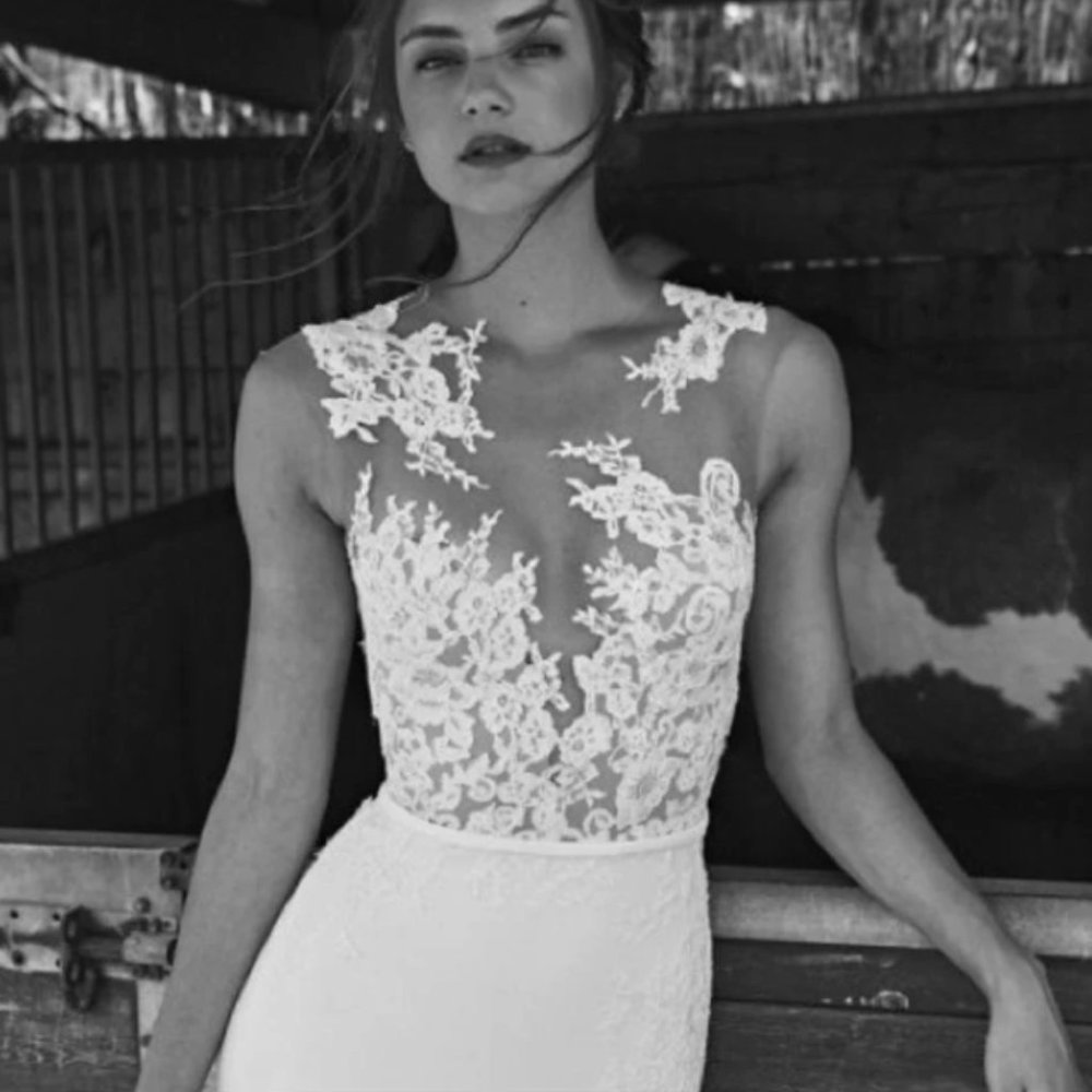 Pronovias Vicenta Wedding Dress